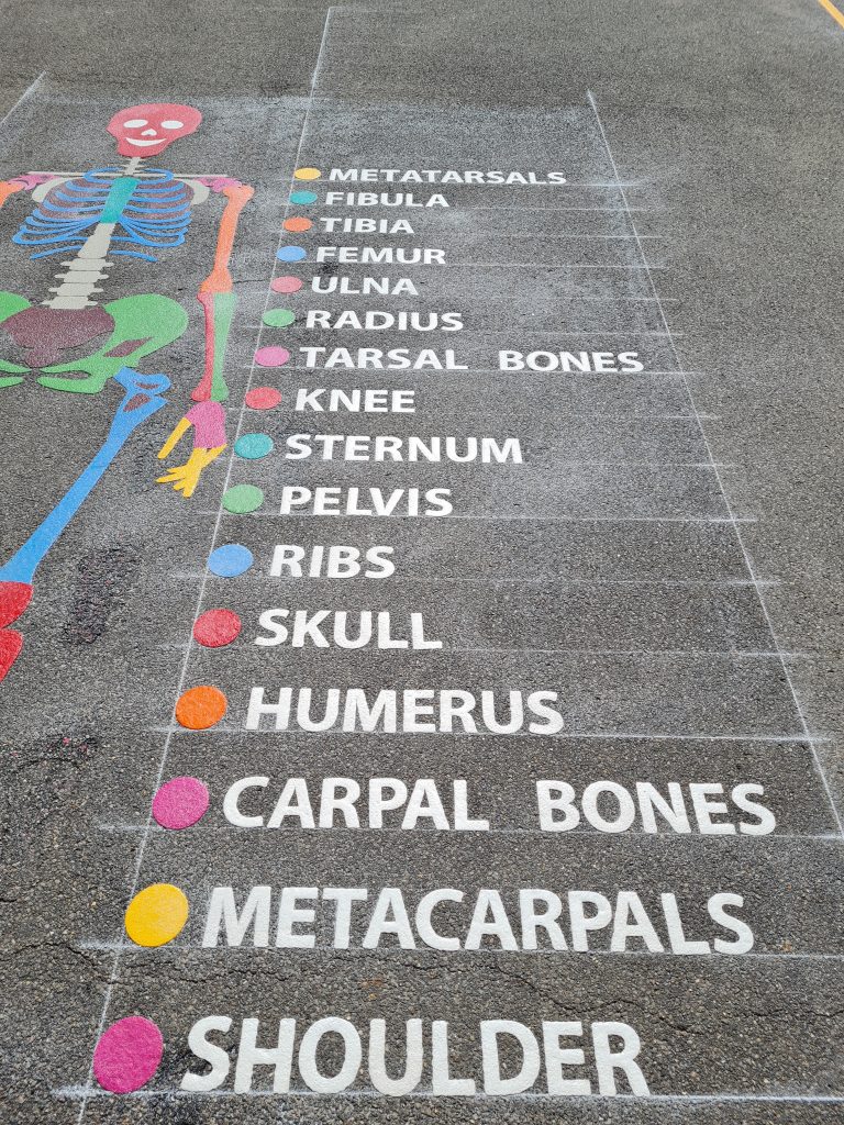 Educational Playground Markings