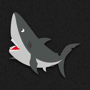 Shark