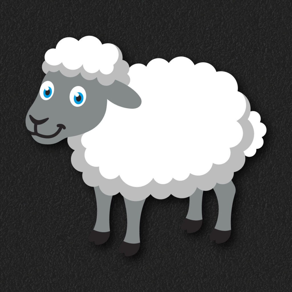 Sheep