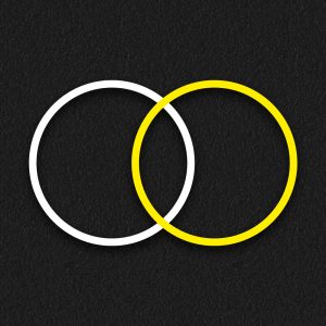 Venn Diagram