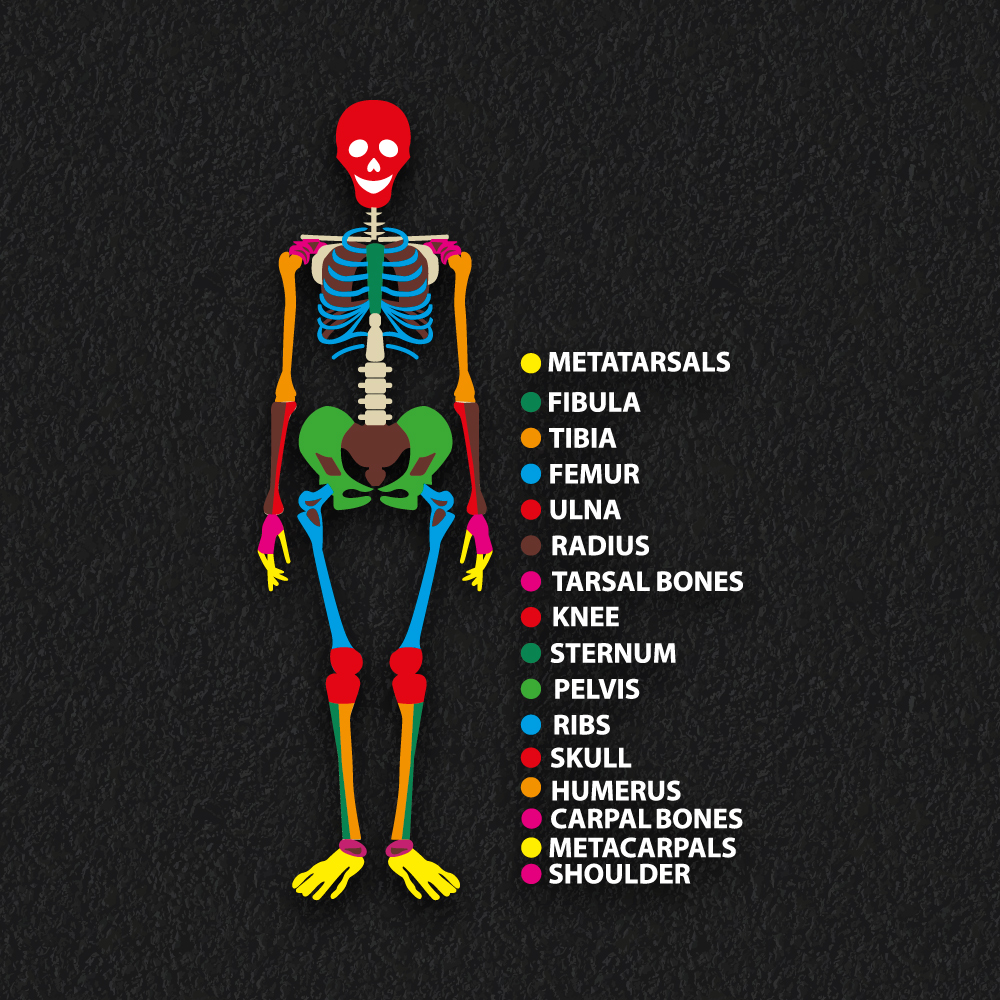 Education Package Education Package - Image 8